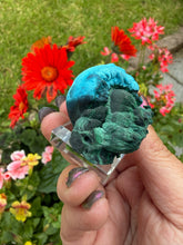 Load image into Gallery viewer, Chrysocolla and Malachite Specimen from Congo
