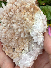 Load image into Gallery viewer, Pink Shell Amethyst Flower Specimen

