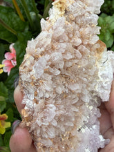 Load image into Gallery viewer, Pink Shell Amethyst Flower Specimen
