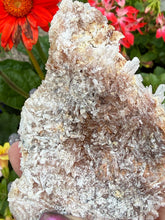 Load image into Gallery viewer, Pink Shell Amethyst Flower Specimen
