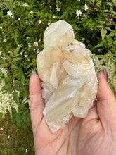 Load image into Gallery viewer, UV Reactive Sandwich Calcite Specimen from Fujian
