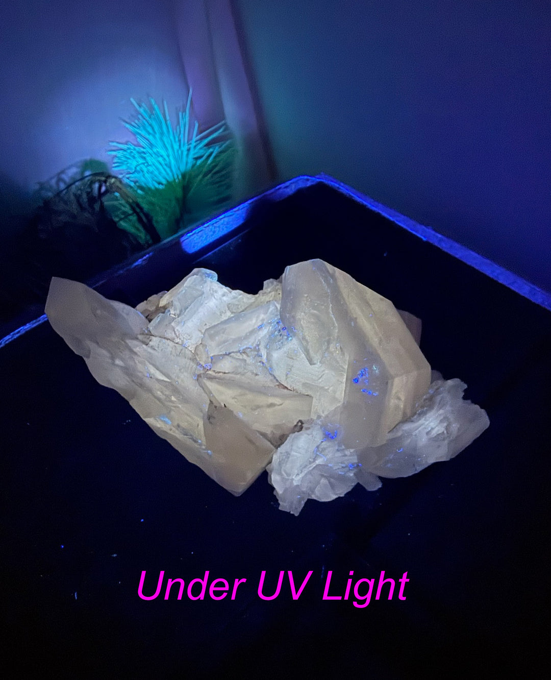 UV Reactive Sandwich Calcite Specimen from Fujian