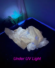 Load image into Gallery viewer, UV Reactive Sandwich Calcite Specimen from Fujian

