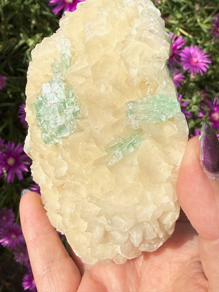 Rare Disco Ball Green Apophylite Specimen from India