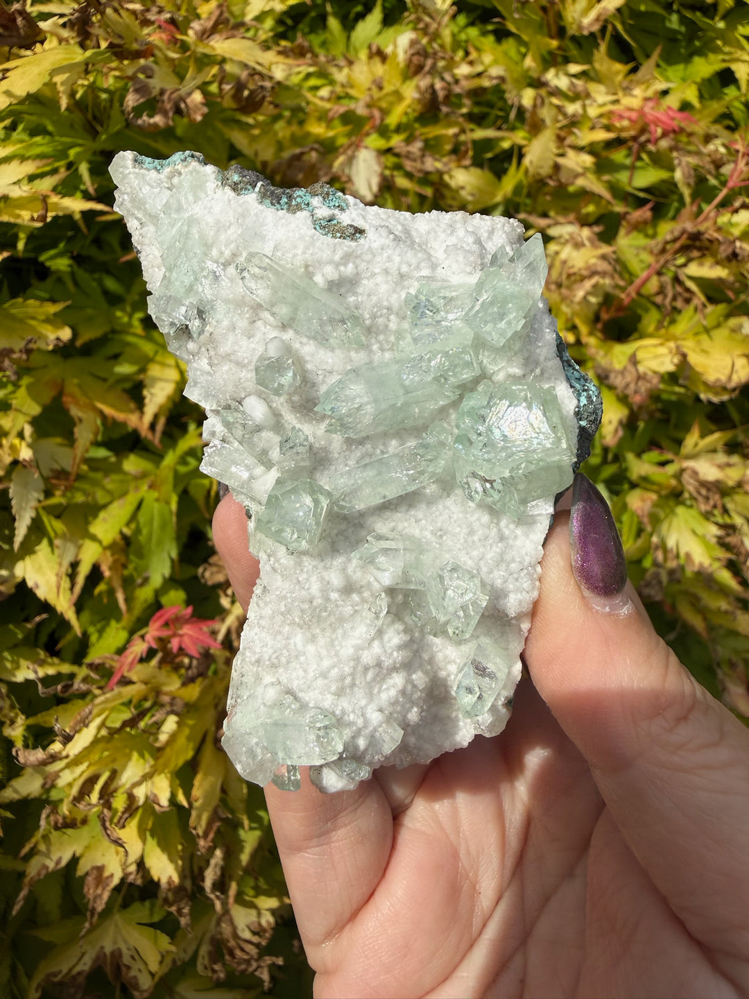 Complete Green Apophyllite Specimen from Jalagon