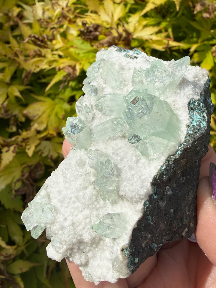 Complete Green Apophyllite Specimen from Jalagon