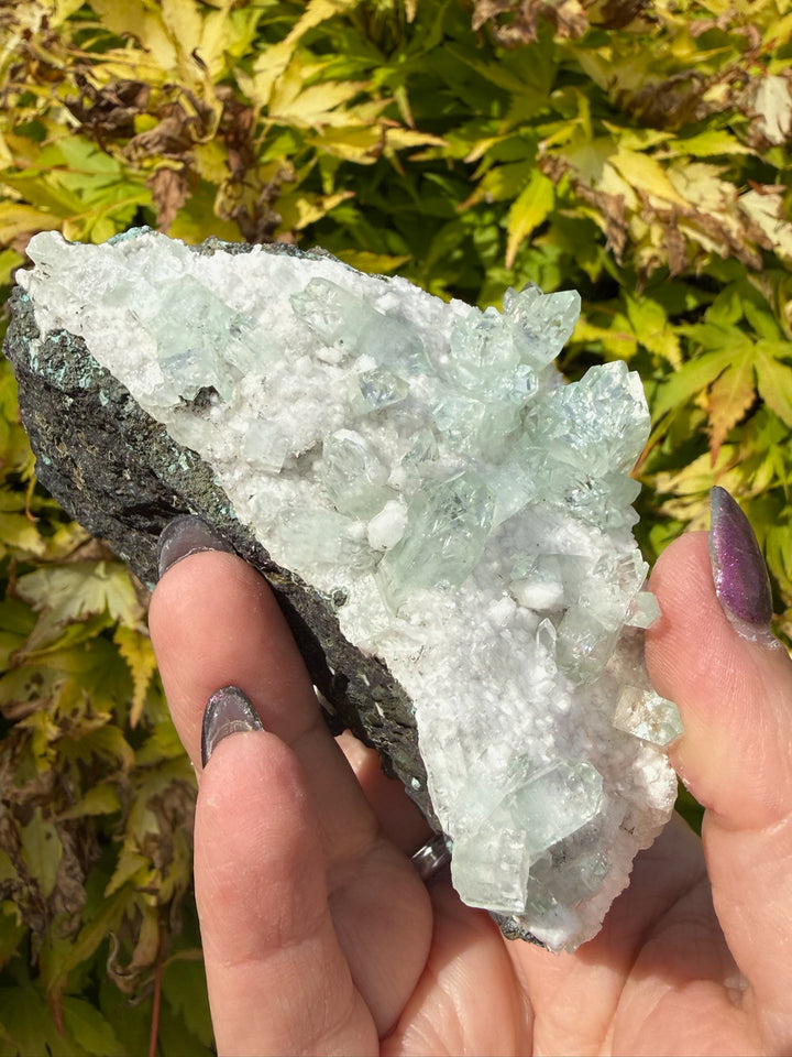 Complete Green Apophyllite Specimen from Jalagon