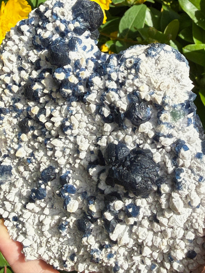 Statement Blue Fluorite Specimen from Inner Mongolia