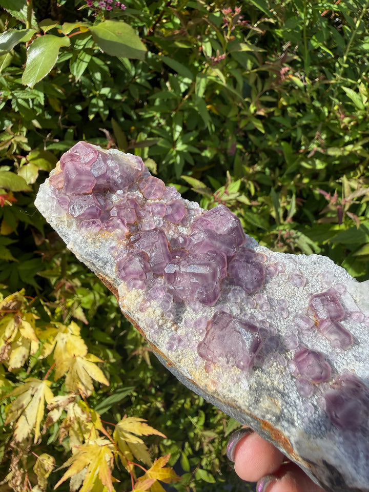 Purple Cubic Fluorite Specimen from Fujian