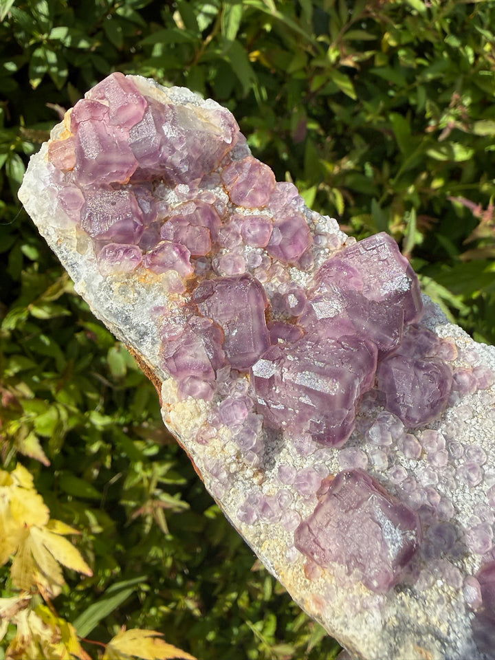 Purple Cubic Fluorite Specimen from Fujian