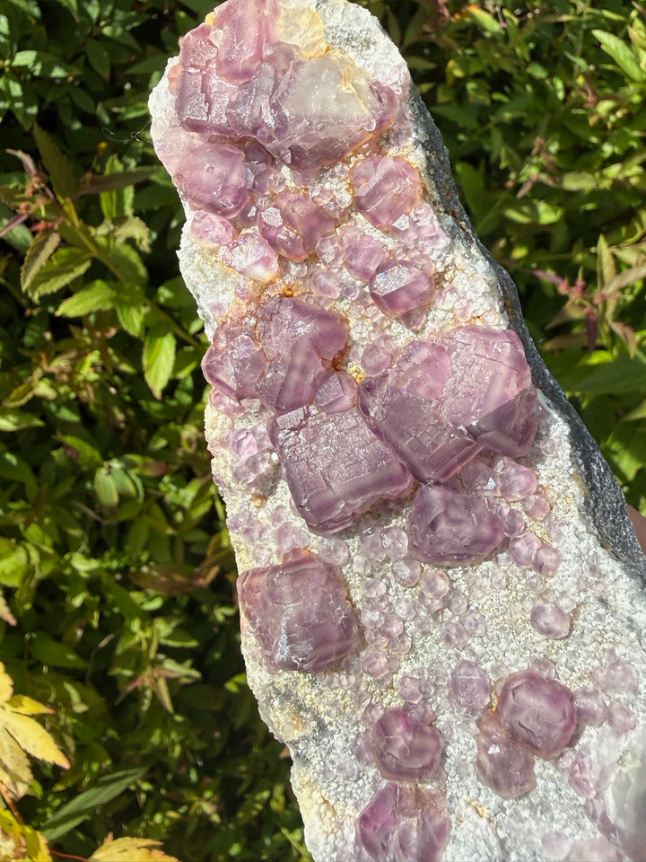 Purple Cubic Fluorite Specimen from Fujian