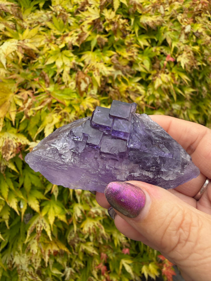 Uv Reactive Clear Stepped Purple Fluorite Specimen from XinJiang, China