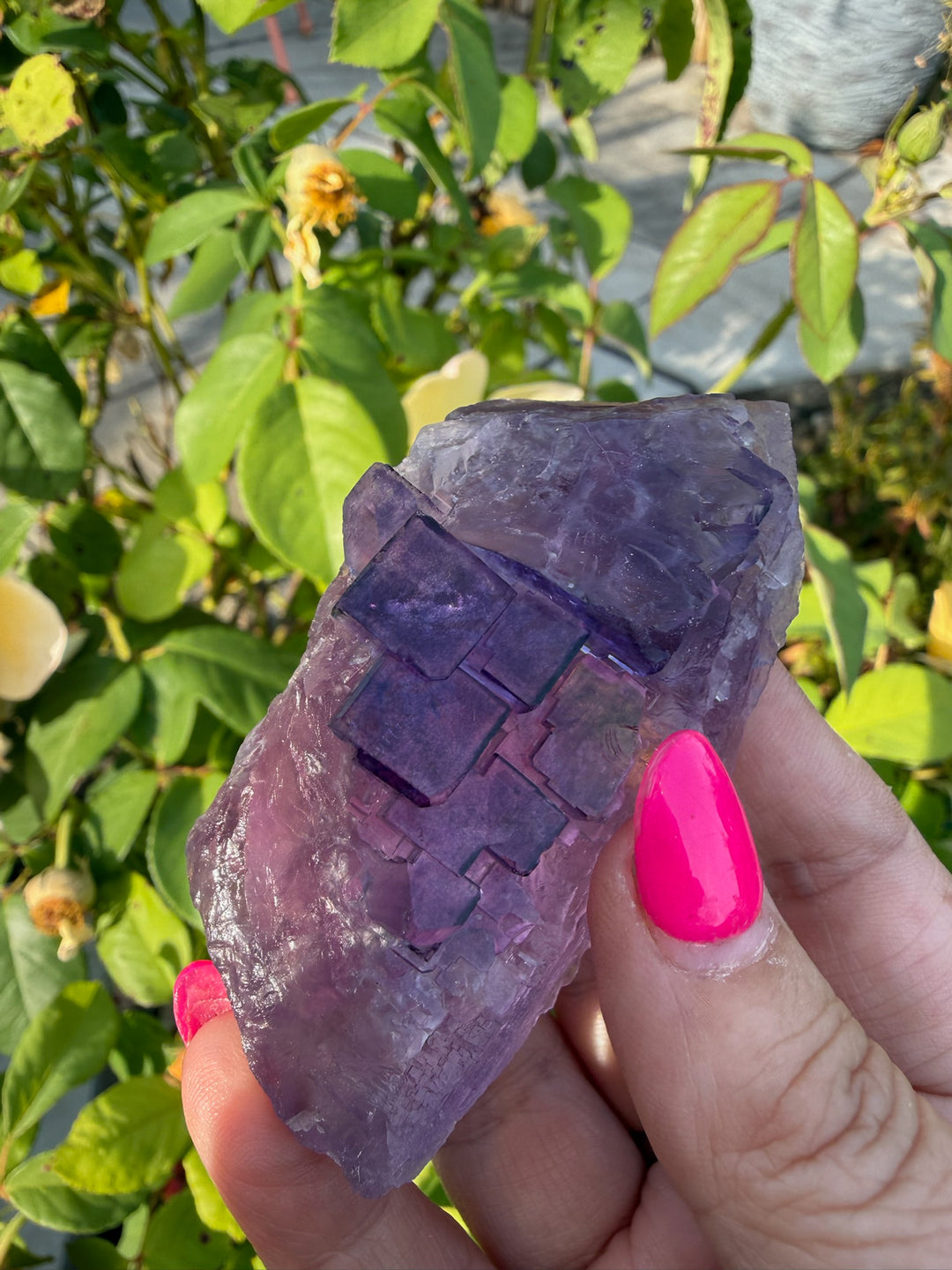Uv Reactive Clear Stepped Purple Fluorite Specimen from XinJiang, China