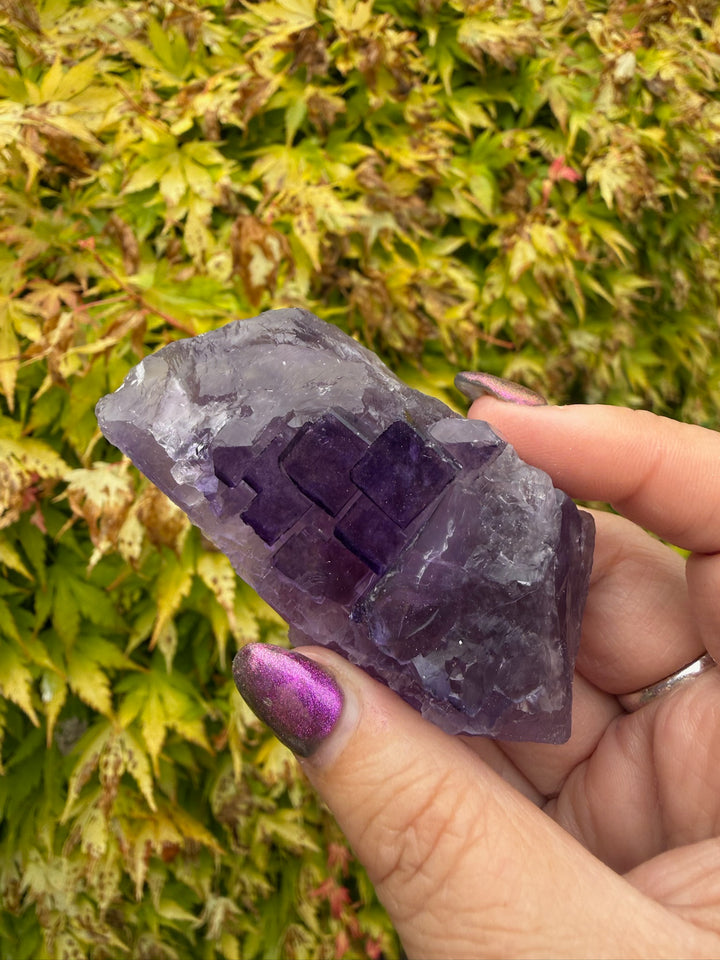 Uv Reactive Clear Stepped Purple Fluorite Specimen from XinJiang, China