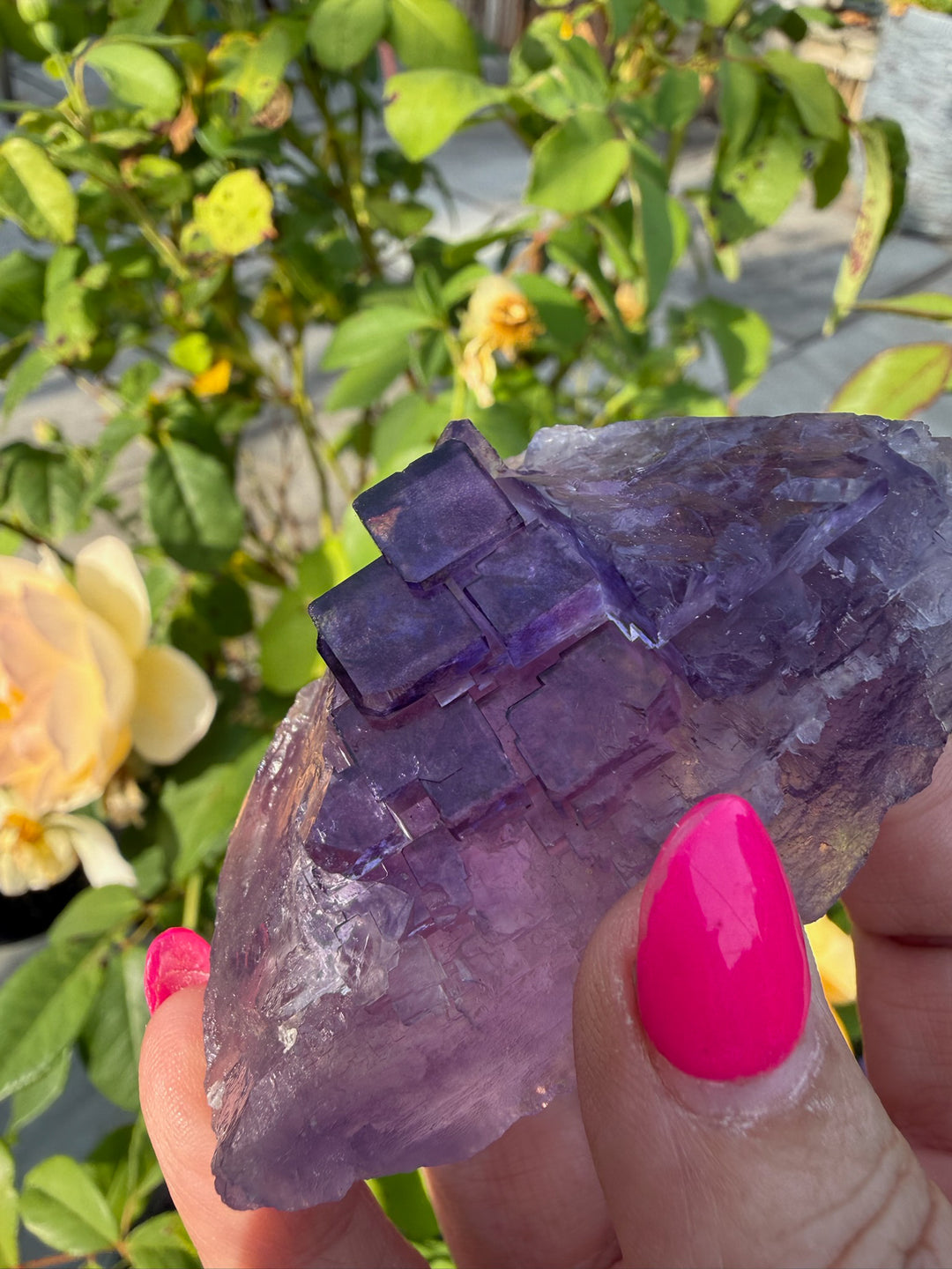 Uv Reactive Clear Stepped Purple Fluorite Specimen from XinJiang, China