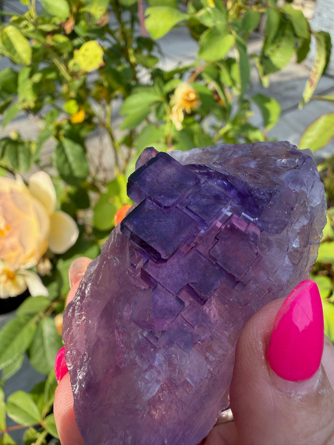 Uv Reactive Clear Stepped Purple Fluorite Specimen from XinJiang, China