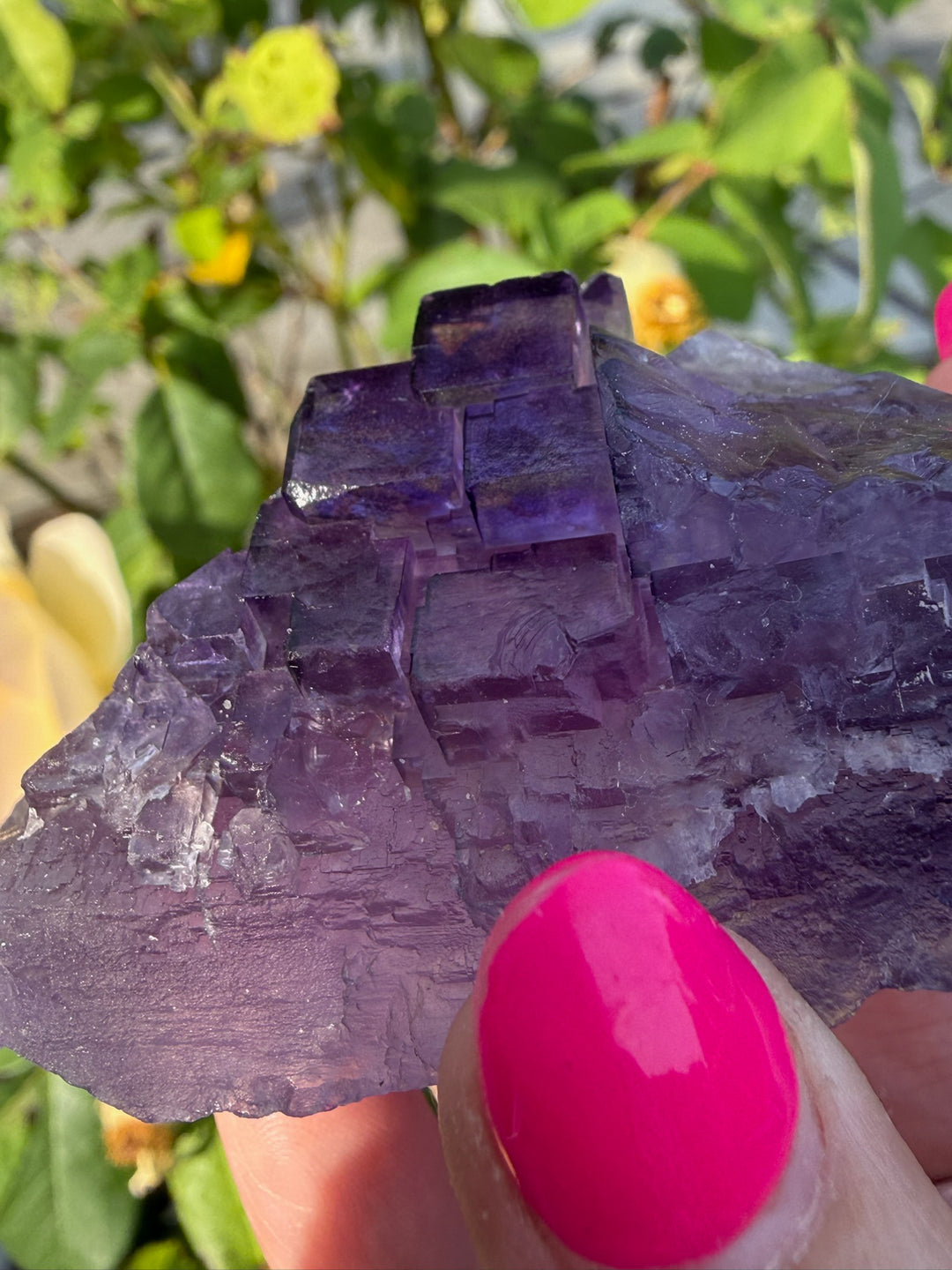 Uv Reactive Clear Stepped Purple Fluorite Specimen from XinJiang, China