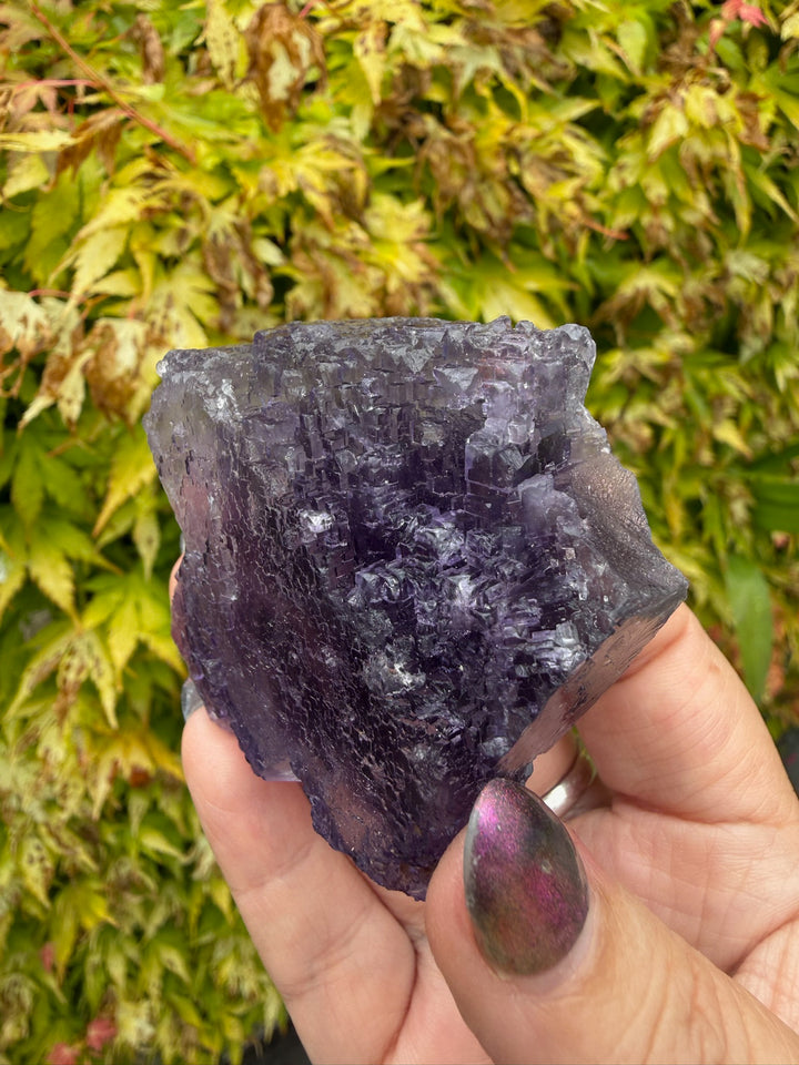 Uv reactive stepped Purple Fluorite from Xinjiang, China