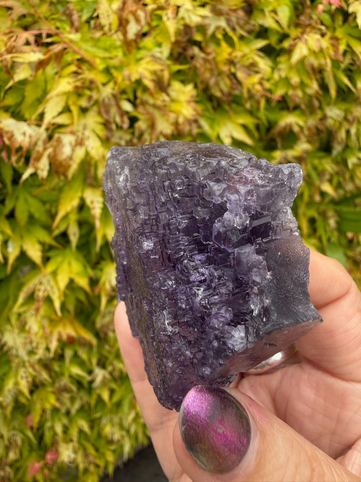 Uv reactive stepped Purple Fluorite from Xinjiang, China