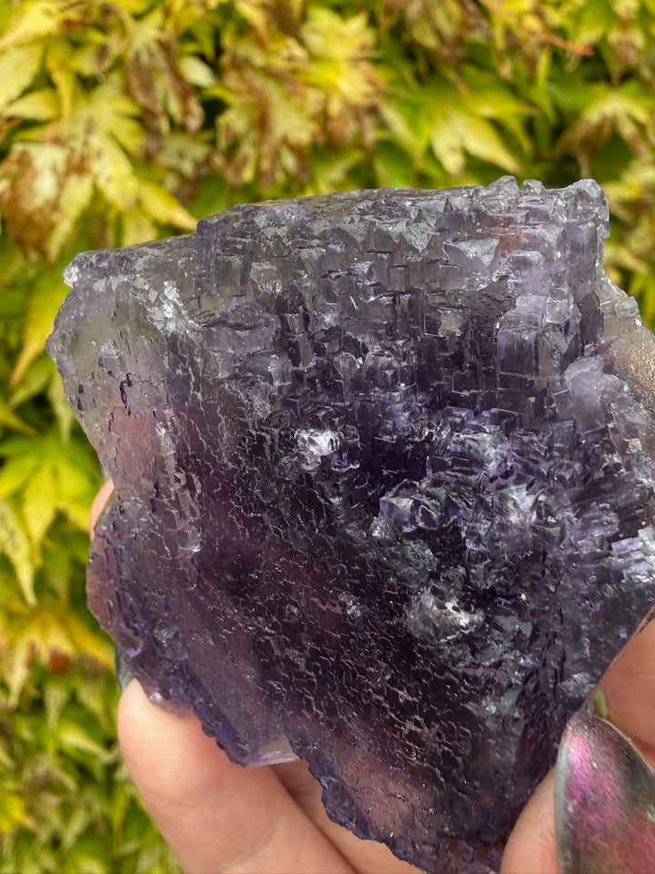 Uv reactive stepped Purple Fluorite from Xinjiang, China