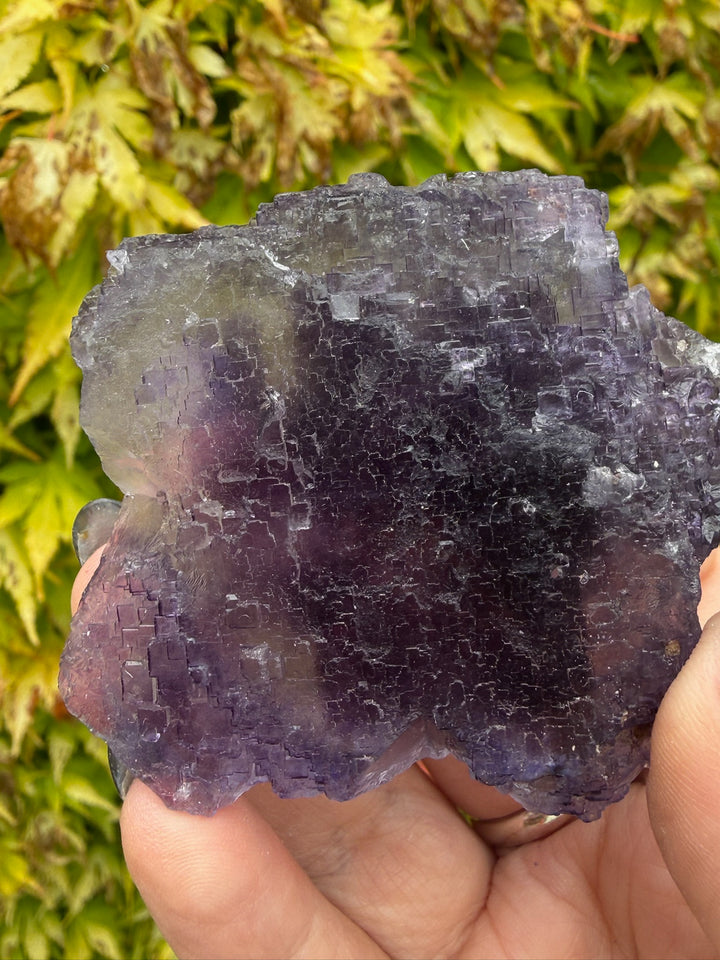 Uv reactive stepped Purple Fluorite from Xinjiang, China