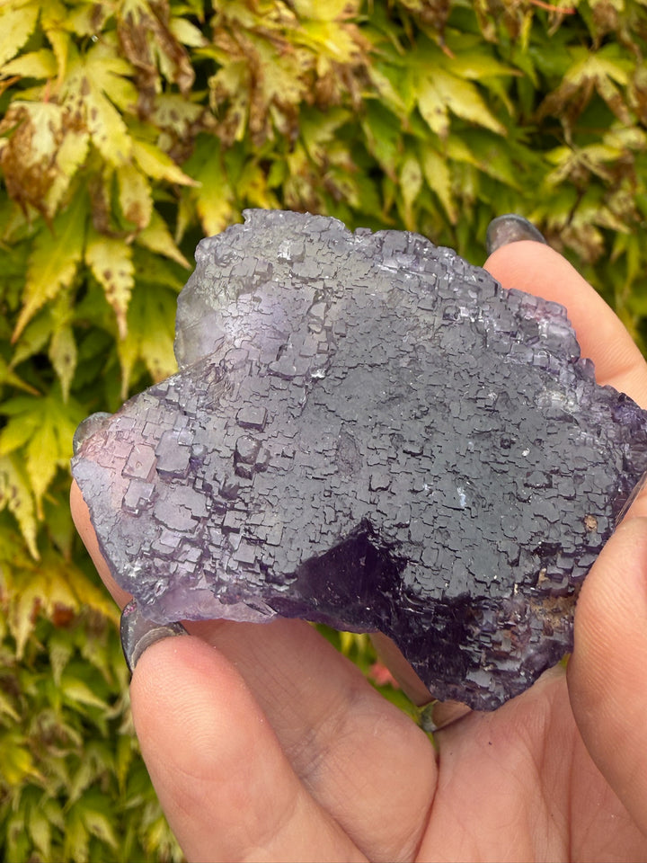Uv reactive stepped Purple Fluorite from Xinjiang, China