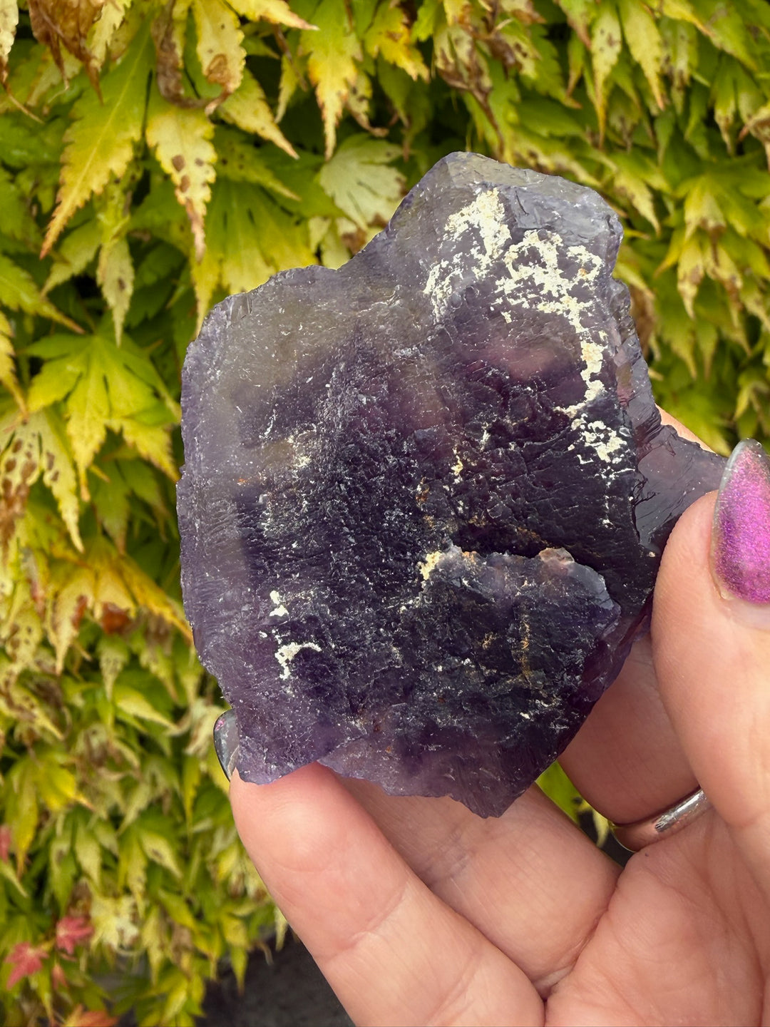 Uv reactive stepped Purple Fluorite from Xinjiang, China