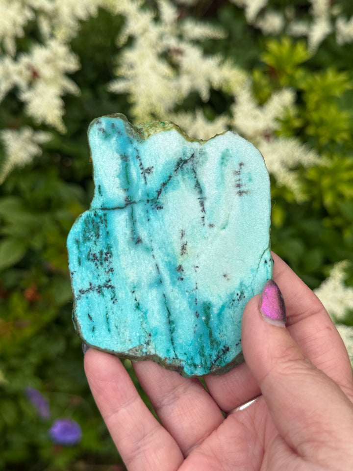 Unusually Shiyan Turquoise Slice Specimen from Shiyan