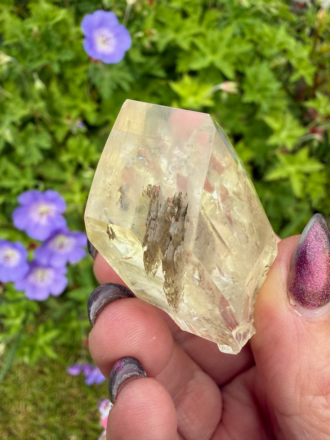 Rare Red River Spillway Clear Selenite Gypsum Specimen from Winnipeg, Canada