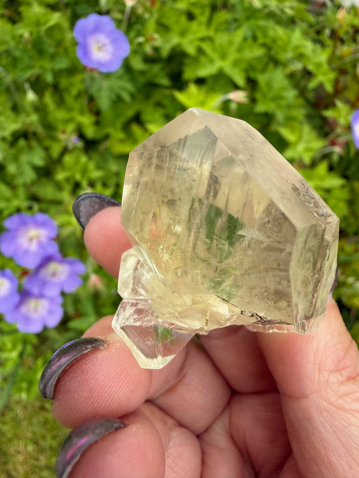 Rare Red River Spillway Clear Selenite Gypsum Specimen from Winnipeg, Canada