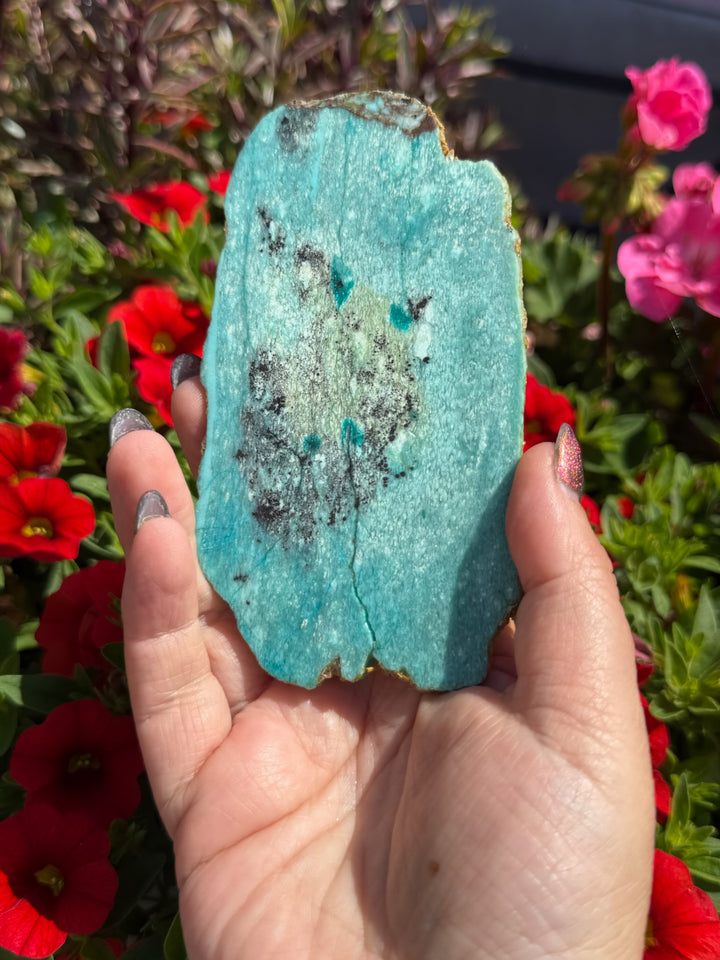 Unusual Shiyan Turqouise Slice Specimen from Shiyan