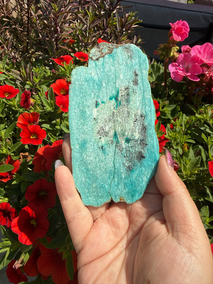 Unusual Shiyan Turqouise Slice Specimen from Shiyan