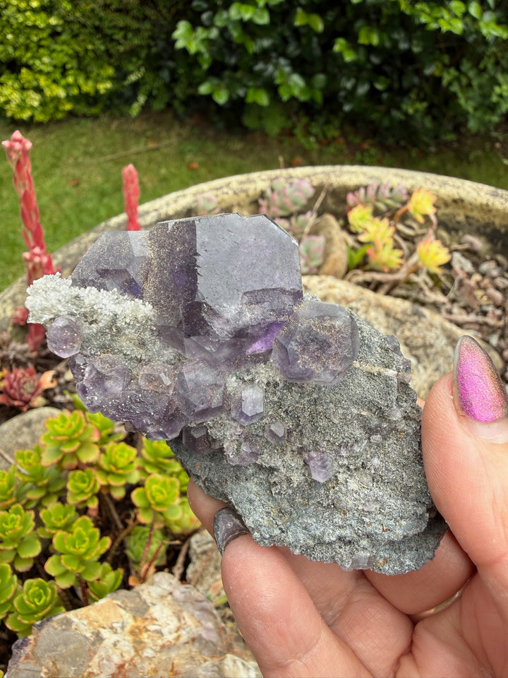 Tanzanite Fluorite Specimen from Fujian