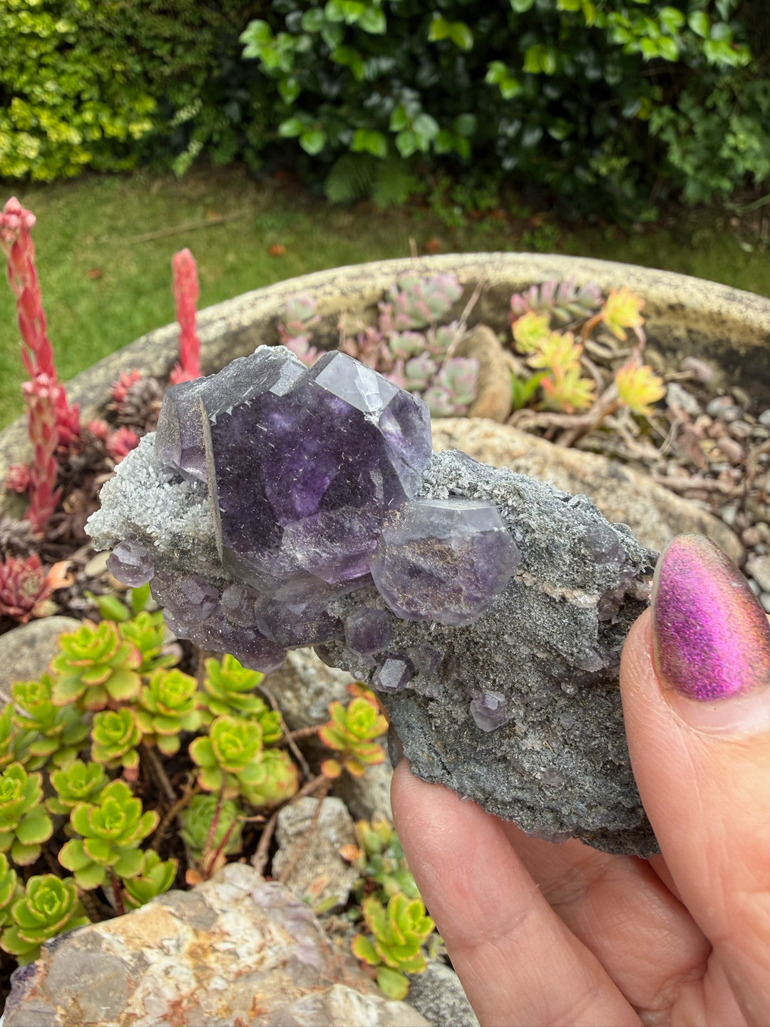 Tanzanite Fluorite Specimen from Fujian
