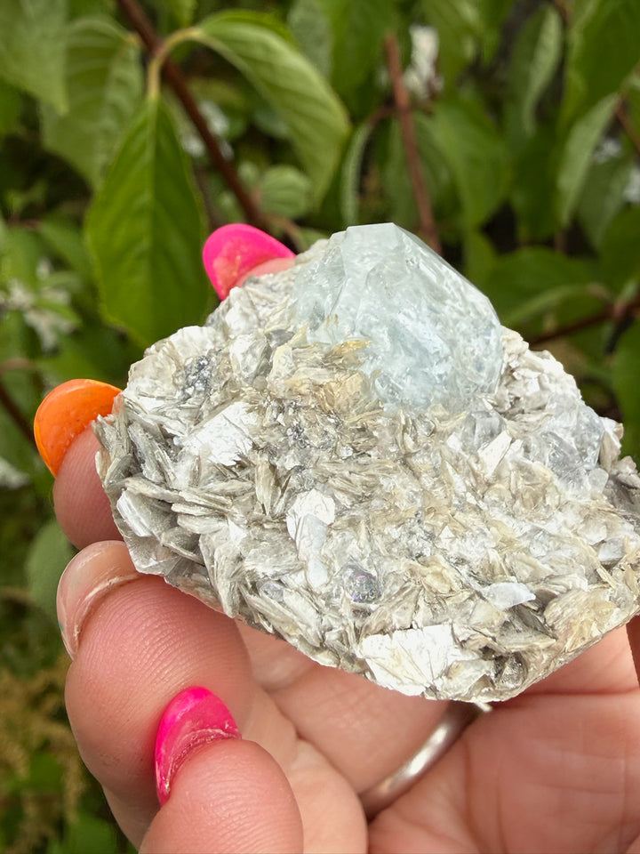 Clear Blue Goshenite Beryl and Mica Specimen from Xuebaoding
