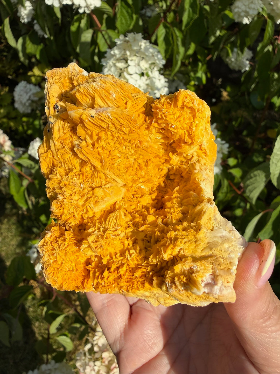Large Rare Barite (Baryte) on Quartz Specimen from Urberg, Black Forest
