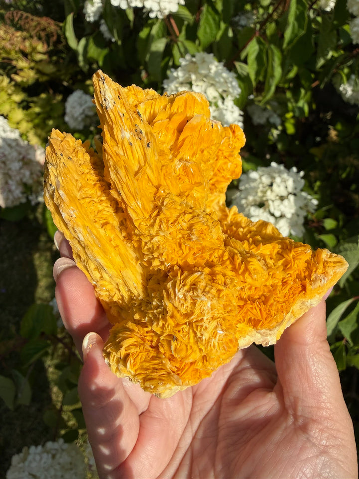 Large Rare Barite (Baryte) on Quartz Specimen from Urberg, Black Forest