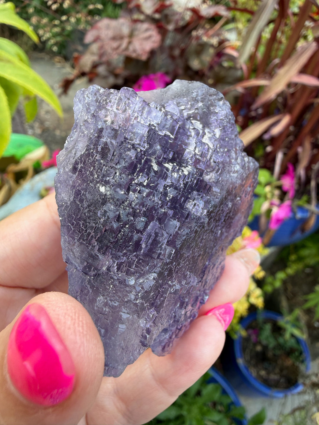 Uv reactive stepped Purple Fluorite from Xinjiang, China
