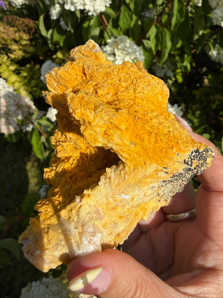 Large Rare Barite (Baryte) on Quartz Specimen from Urberg, Black Forest