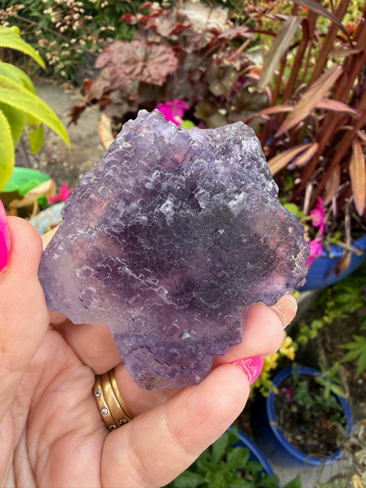 Uv reactive stepped Purple Fluorite from Xinjiang, China
