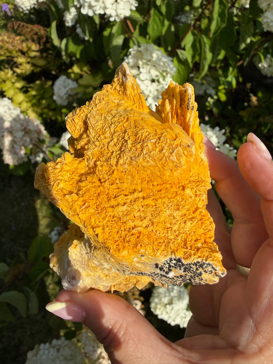 Large Rare Barite (Baryte) on Quartz Specimen from Urberg, Black Forest