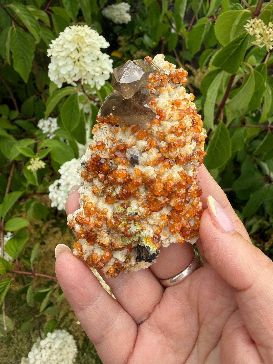 Smoky Quartz and Spessartine Garnet Specimen from Fujian