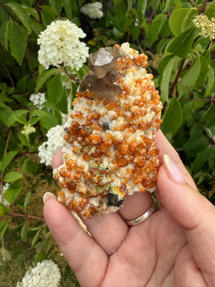 Smoky Quartz and Spessartine Garnet Specimen from Fujian