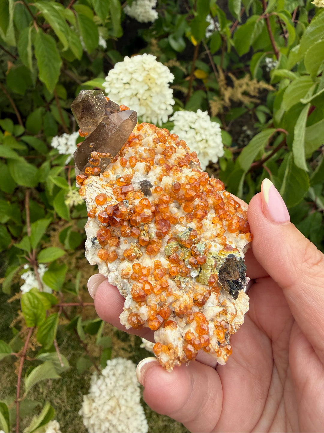 Smoky Quartz and Spessartine Garnet Specimen from Fujian