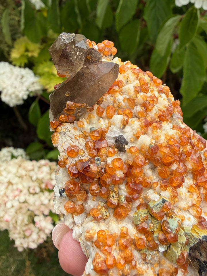 Smoky Quartz and Spessartine Garnet Specimen from Fujian