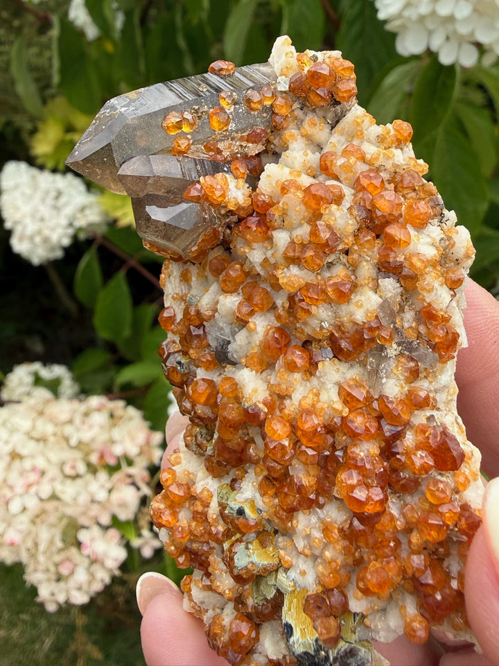 Smoky Quartz and Spessartine Garnet Specimen from Fujian