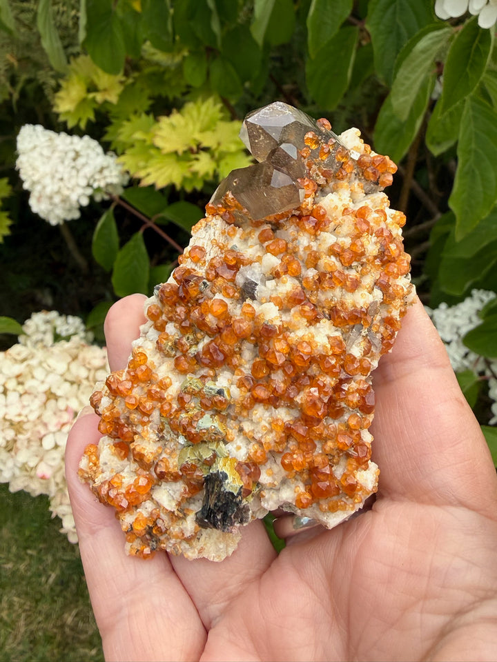 Smoky Quartz and Spessartine Garnet Specimen from Fujian