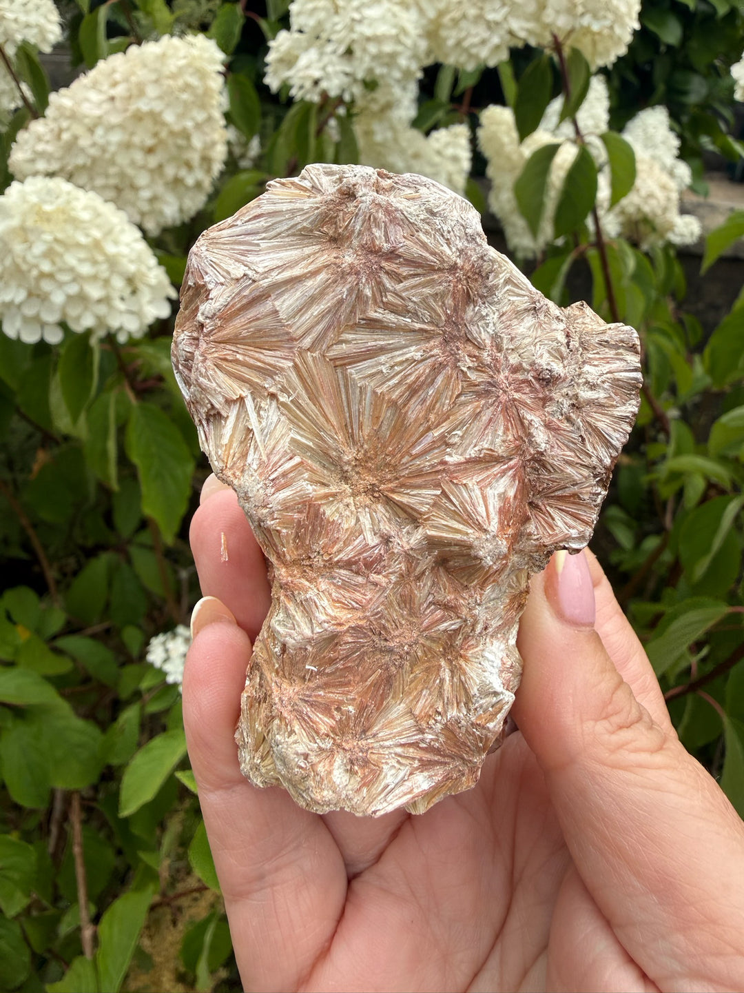 Large Pyrophillyte Specimen from Georgia, USA