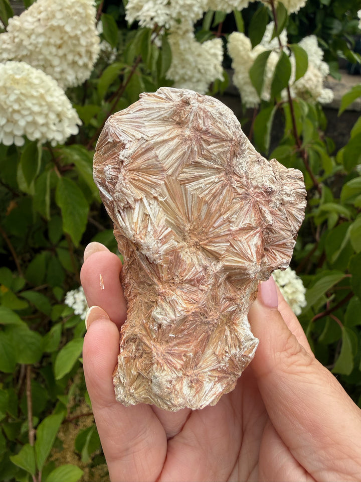 Large Pyrophillyte Specimen from Georgia, USA