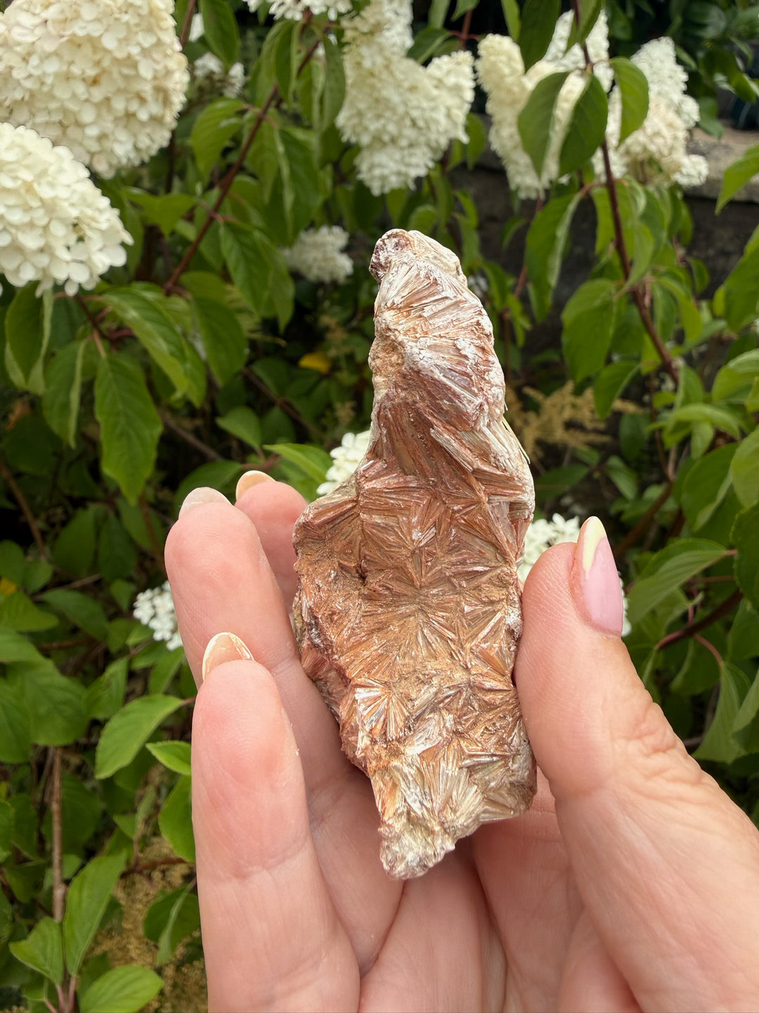 Large Pyrophillyte Specimen from Georgia, USA